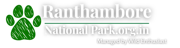 Visit Ranthambore Tiger Reserve to sight the Royal Bengal Tiger & explore the heritage in wilderness.